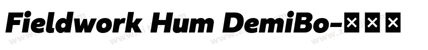 Fieldwork Hum DemiBo字体转换
